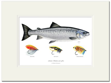 Mayfly Art Salmon and Flies Signed Print